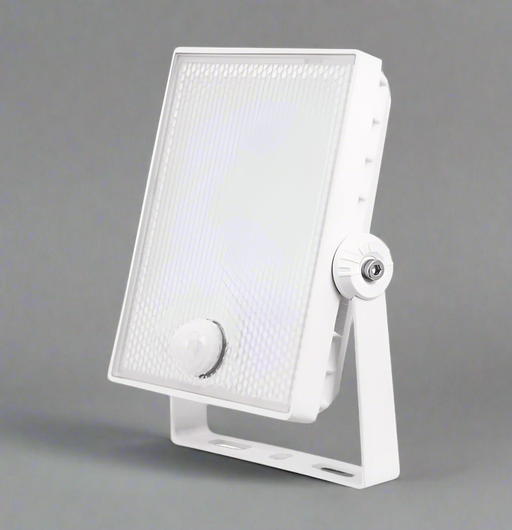 20W LED Floodlight