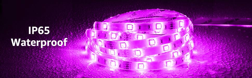 Lepro Outdoor LED Strip Light Waterproof IP65, 5M