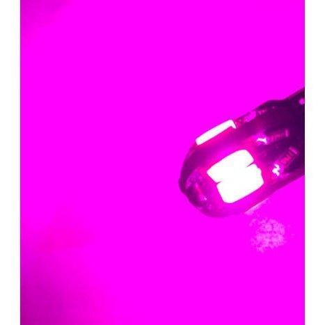 T10 LED Canbus bulbs 2 Pack