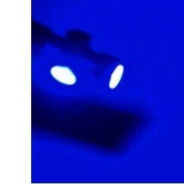 T5 LED Canbus x 2