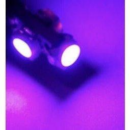T5 LED Canbus x 2
