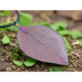 Bravery Leaf Necklace