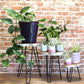 Set of 3 Wood Plant Stands - hightectrading.com